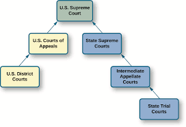 Appeal Courts